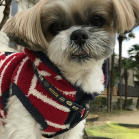 2017年 ありがとう(^^)の画像