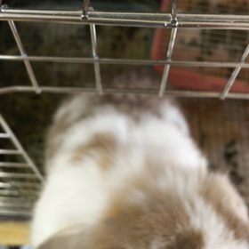 朝の挨拶の画像