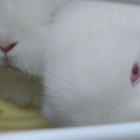ご飯♪の画像