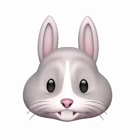 ご案内❤の画像