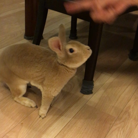 173. ぐるぐるの画像
