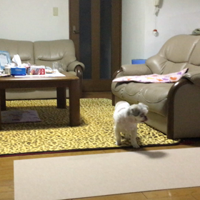 ビックリした〜の画像