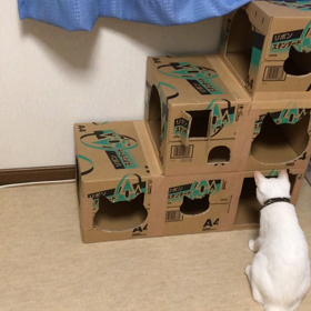 もう９月の画像