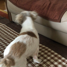 かる〜くの画像