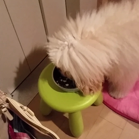 食べてます！の画像