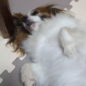 独り言の画像