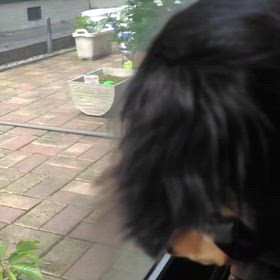 一生懸命カリカリする理由の画像