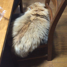 2016/01/11の画像