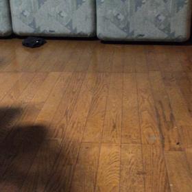 2016/01/25の画像