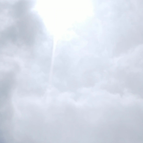 初めて編集に挑戦！【実写】の画像