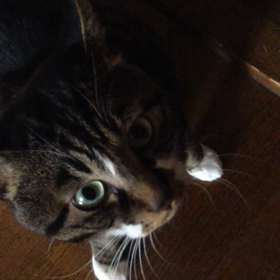 お兄ちゃんのお部屋の画像