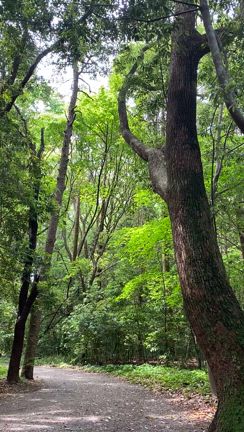 森羅万象の沈黙と森の中で呟くわ、た、し〜(^｡^)の記事動画