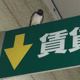 運気アップ！就寝前の習慣で、翌朝の気分が変わってくる〜の画像