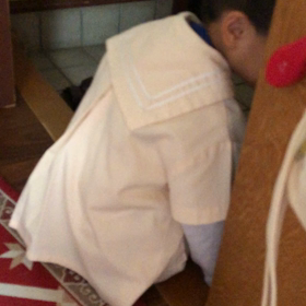 辰、朝の画像