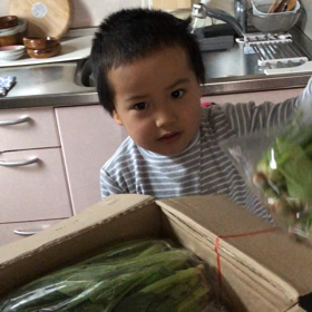 野菜！の画像