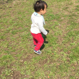 公園の画像