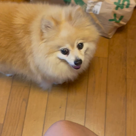 KURUの画像