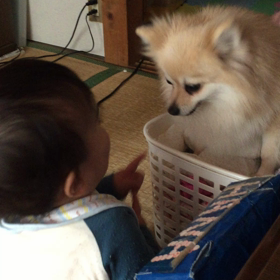 ♪辰とkuru♪の画像