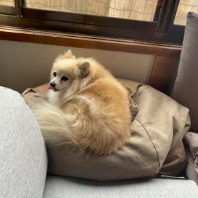 23.3.23の画像