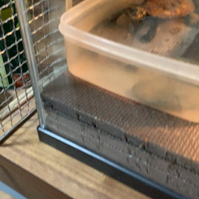 齧れ〜の画像
