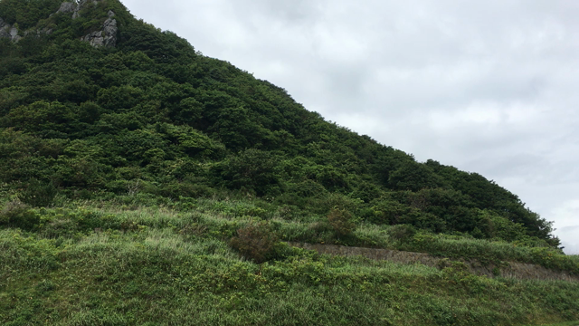 超プチ旅の記事動画