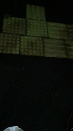 日常の記事動画
