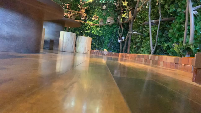 新しい仲間♡の記事動画