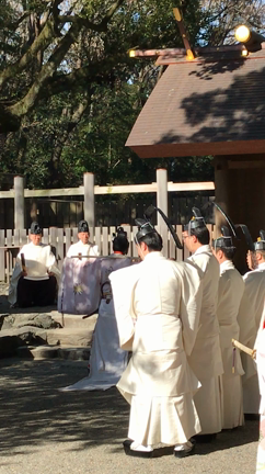 導かれて、キラッキラの熱田神宮へ♡の記事動画