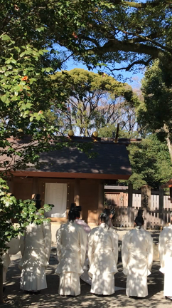 導かれて、キラッキラの熱田神宮へ♡の記事動画