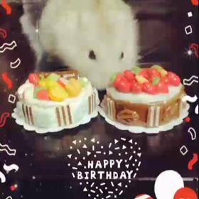 お誕生日おめでとうの画像