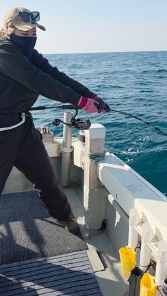 １7日の記事動画