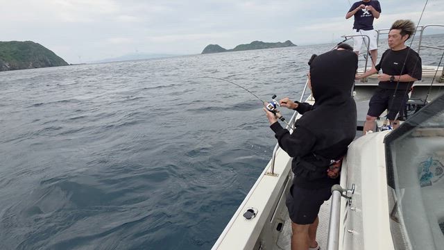 １日の記事動画