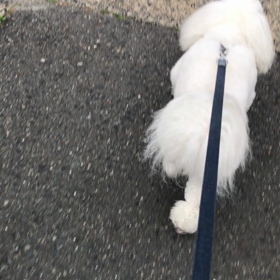 #お尻プリプリ#羨ましー#代替え冷蔵庫#今だに。。。の画像