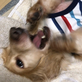 おしゃぶり？の画像