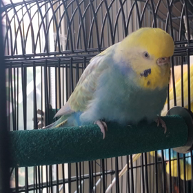 里鳥❓アクアとマリン*\(^o^)/*の画像