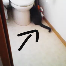 アメ日記#6の画像