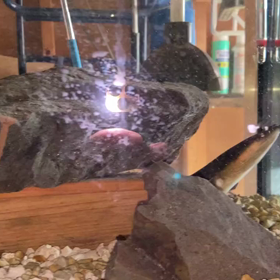 最近のうなぎさんの画像