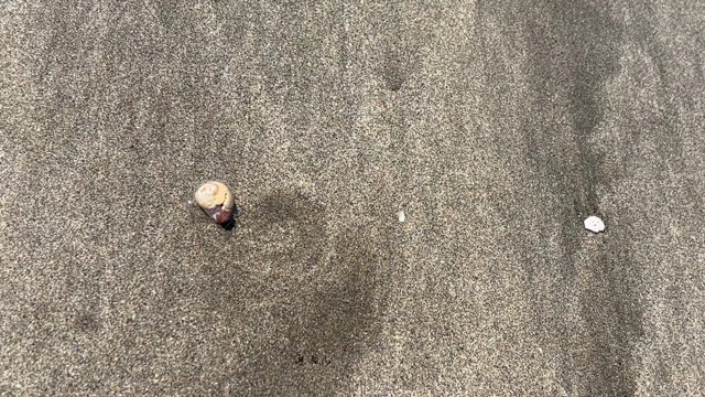 江ノ島・鎌倉の記事動画