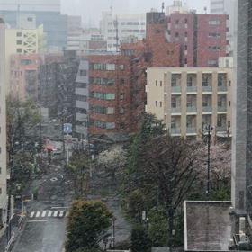 東京は雪の画像