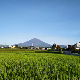 今朝のイマフジの画像