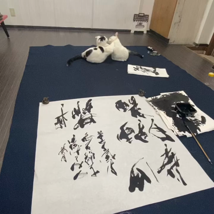 中日展の記事動画