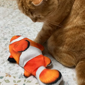 ちょっと安心したの画像