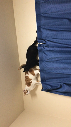 ちょっと一息の記事動画