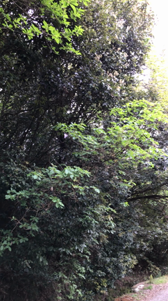 ”休みでも忙しく”の記事動画