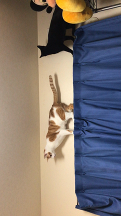 ちょっと一息の記事動画