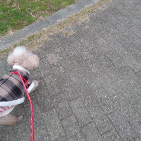 新年最初に会った友達の画像