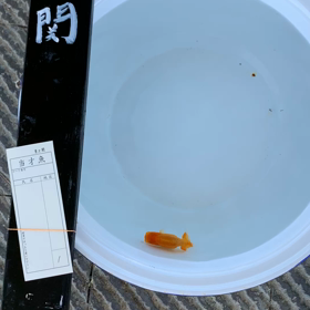 研究会の画像
