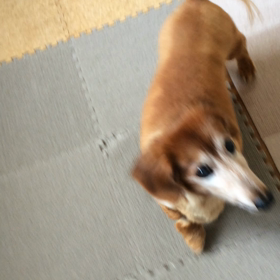ハッピーバースデー♪の画像