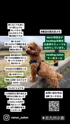 サロン紹介リール動画の記事動画