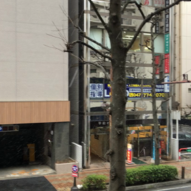 雪だー！の画像